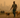 Wildfires and Animals: What To Do