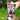 8 Proven Benefits of Massage Therapy for Your Dog