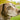 Anti-Aging for Dogs - Keeping Your Pet’s Mind Healthy