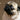 Balanced Dog Nutrition - The Grain-Free Dog Food Debate