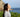 Living with Asthma: How to Recognize It and Treat It Naturally