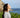 Living with Asthma: How to Recognize It and Treat It Naturally