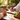 Why Every Bioformula Started With a Patient