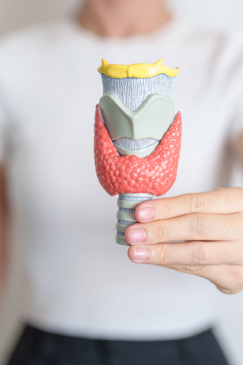 Thyroid Health Decoded: Essential Nutrients Every Woman Needs (Part II