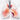 Lungs: Helps restore healthy lung function by supporting cellular repair and overall respiratory wellness.