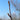 Silver Birch buds (Betula verrucosa): Strengthens overall vitality and supports a resilient, balanced constitution.