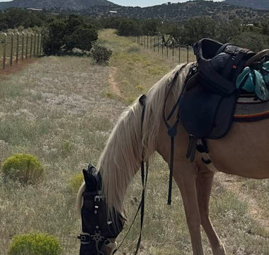 The #1 Killer of Horses Is Colic—But You Can Help Prevent It
