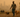 Wildfires and Animals: What To Do