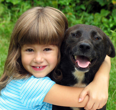 4 Common Dog Skin Problems and How to Treat Them