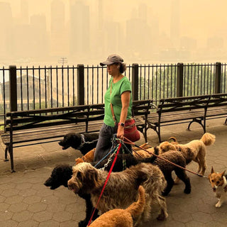 Last year’s Canadian wildfires shrouded part of New York City in smoke - by Troy Dunkley/Reuters