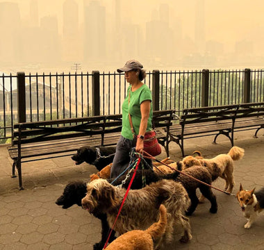 Last year’s Canadian wildfires shrouded part of New York City in smoke - by Troy Dunkley/Reuters