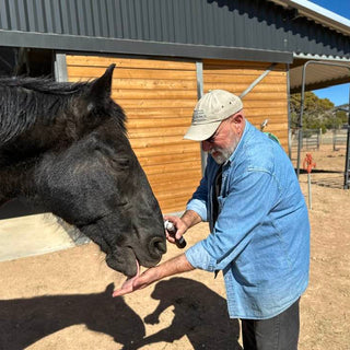 Holistic Ways to Ease Equine Anxiety & Spooking